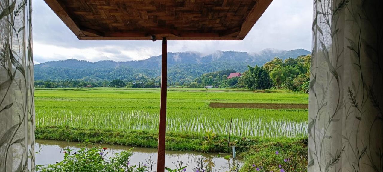 Kaewma Farmstay Khuang Kom Dış mekan fotoğraf
