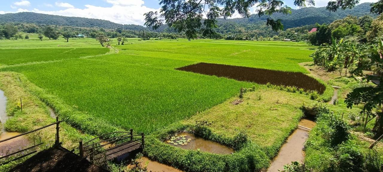 Kaewma Farmstay Khuang Kom Dış mekan fotoğraf