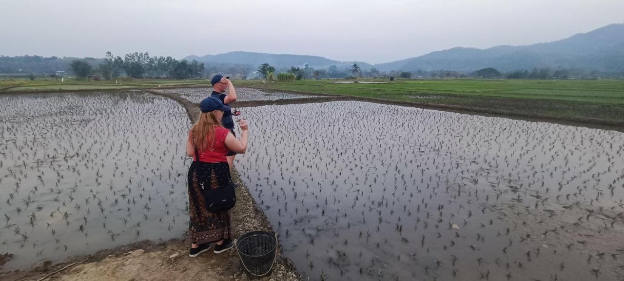 Kaewma Farmstay Khuang Kom Dış mekan fotoğraf