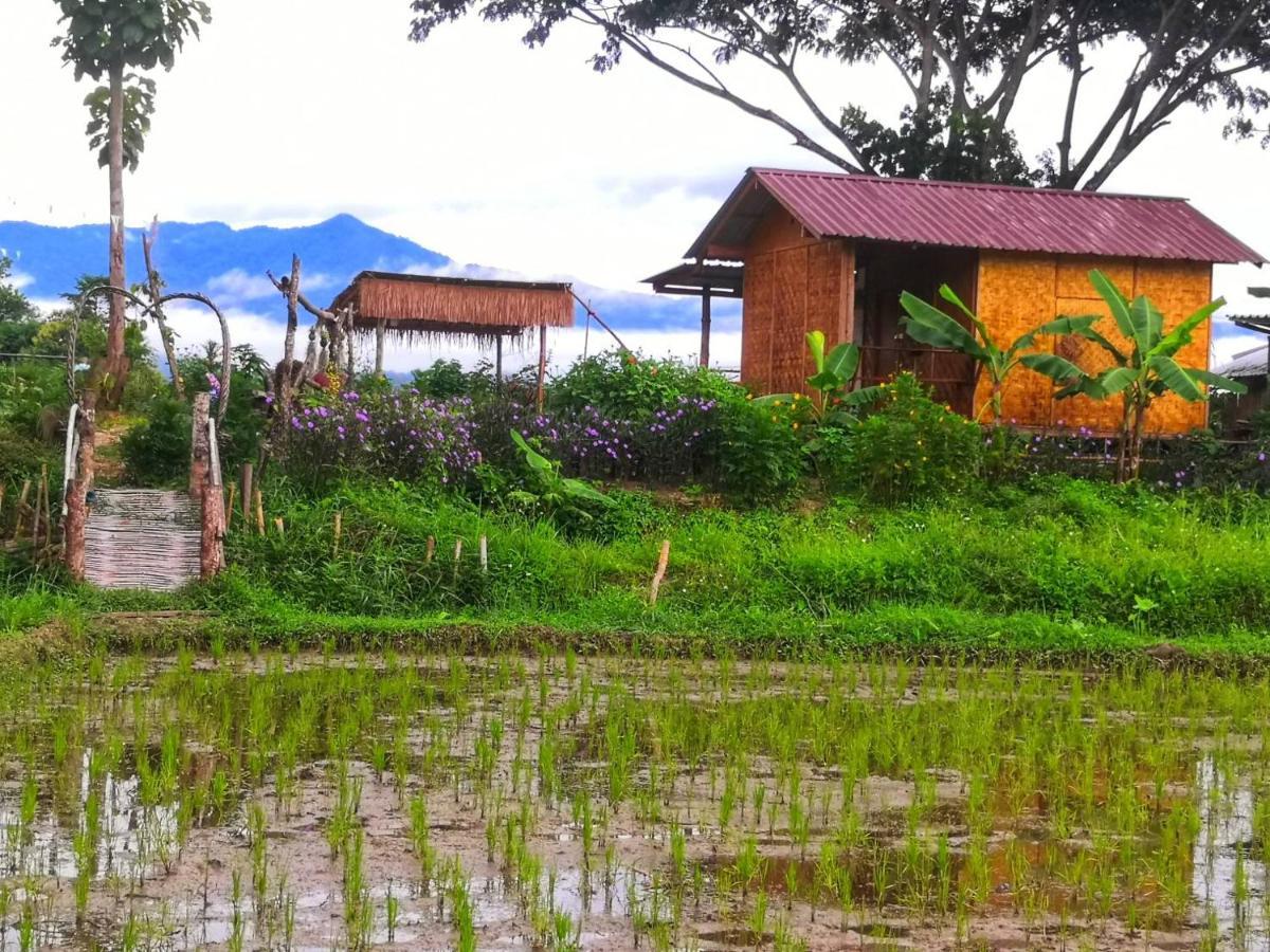 Kaewma Farmstay Khuang Kom Dış mekan fotoğraf