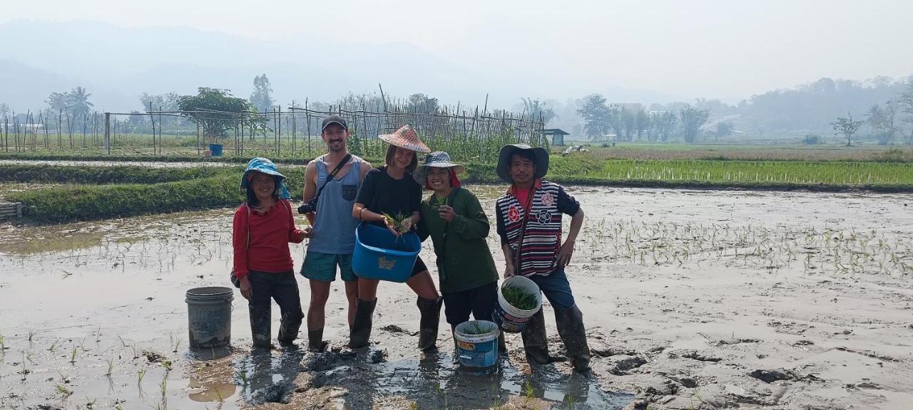 Kaewma Farmstay Khuang Kom Dış mekan fotoğraf