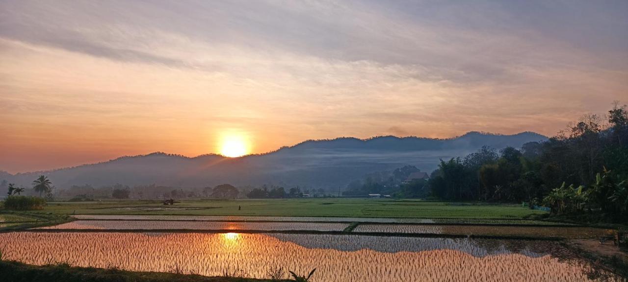 Kaewma Farmstay Khuang Kom Dış mekan fotoğraf