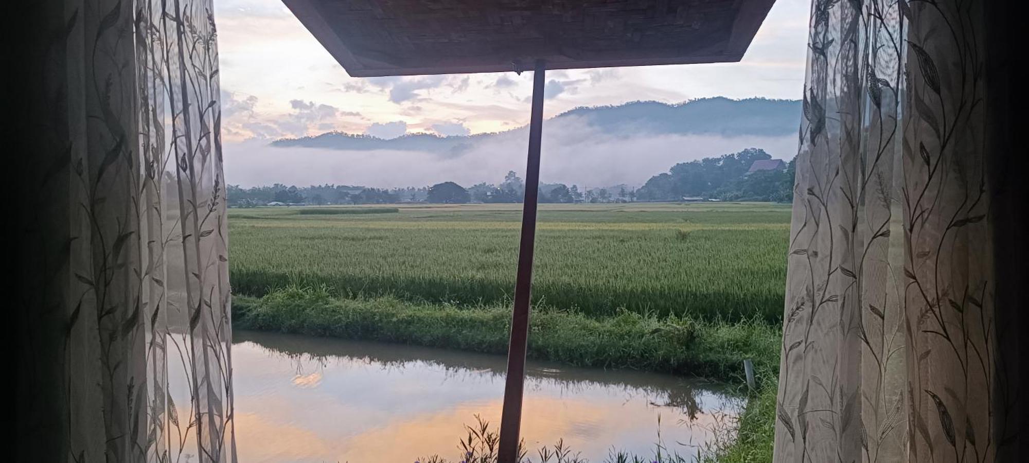 Kaewma Farmstay Khuang Kom Dış mekan fotoğraf
