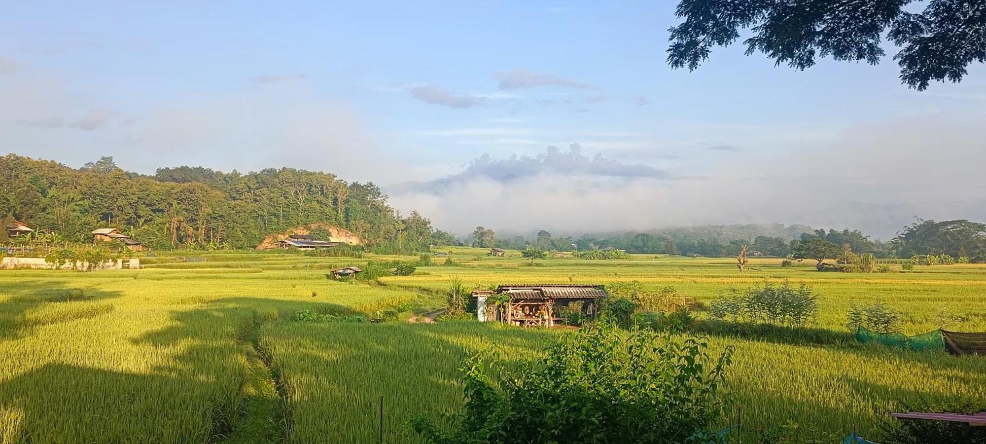Kaewma Farmstay Khuang Kom Oda fotoğraf